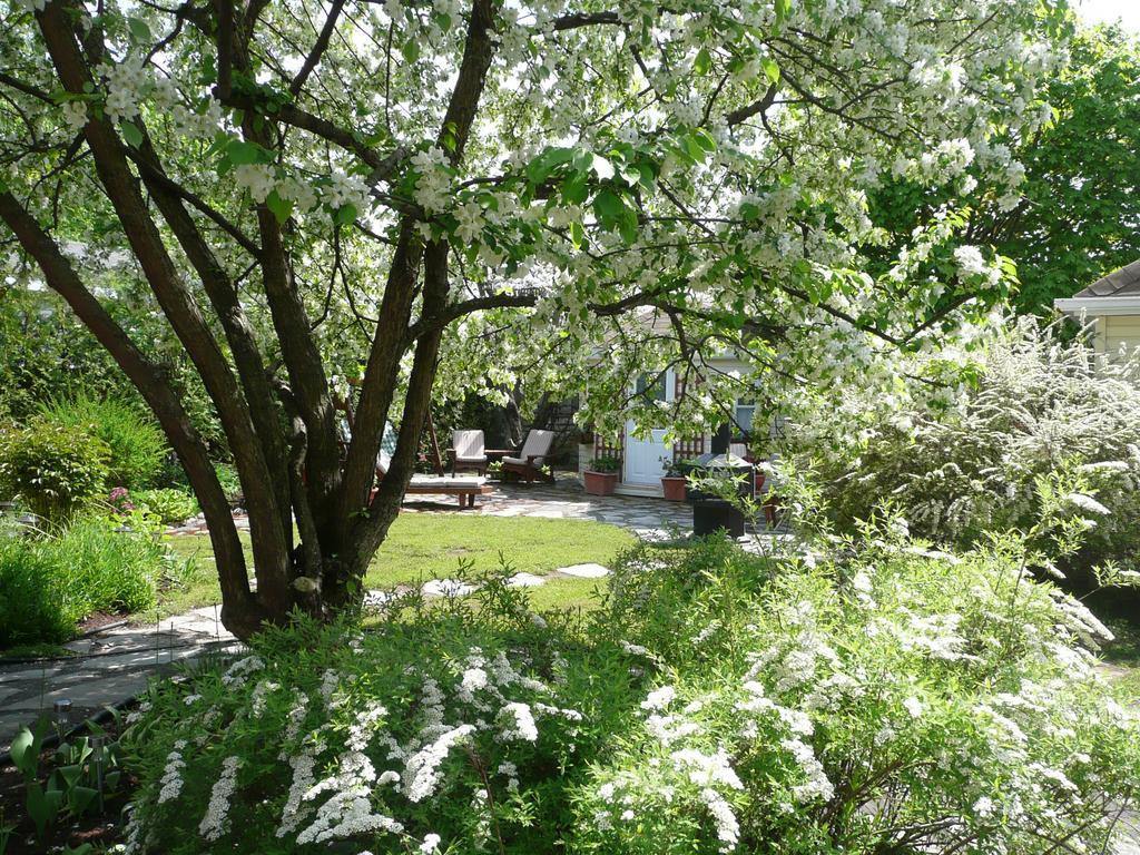 La Maison Dufour & Bouchard Bed and Breakfast La Malbaie Eksteriør billede